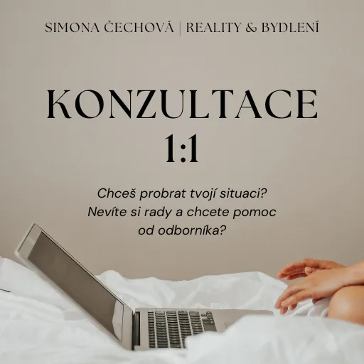 Grafika osobní konzultace se Simonou Čechovou